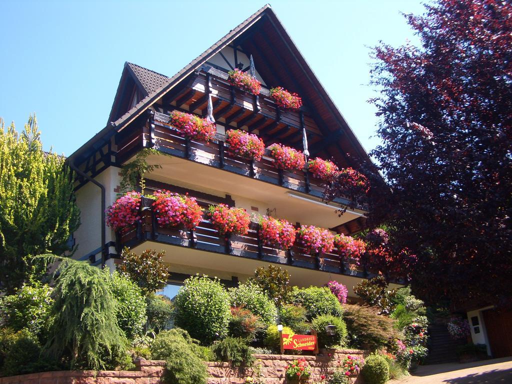 Landhaus Schneider Sasbachwalden Exteriör bild