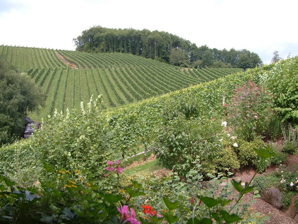Landhaus Schneider Sasbachwalden Exteriör bild