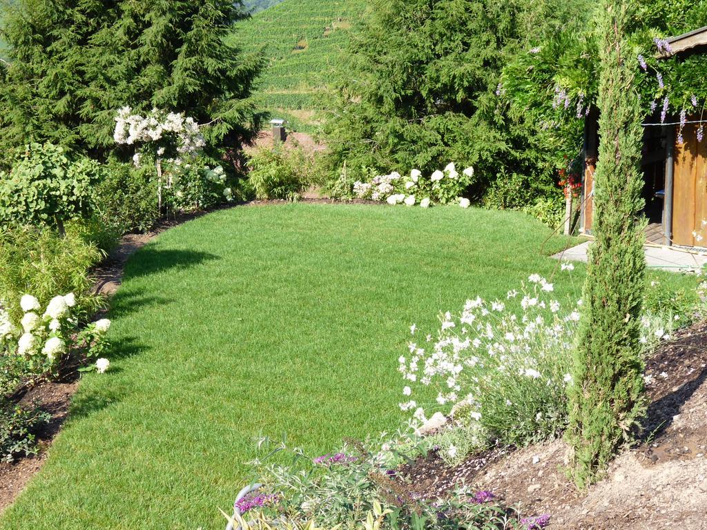Landhaus Schneider Sasbachwalden Exteriör bild