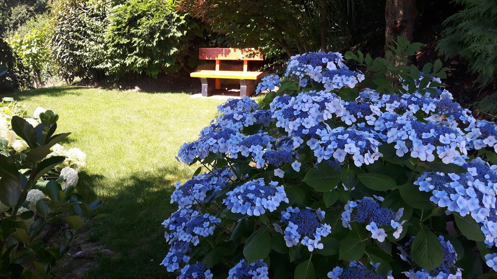 Landhaus Schneider Sasbachwalden Exteriör bild